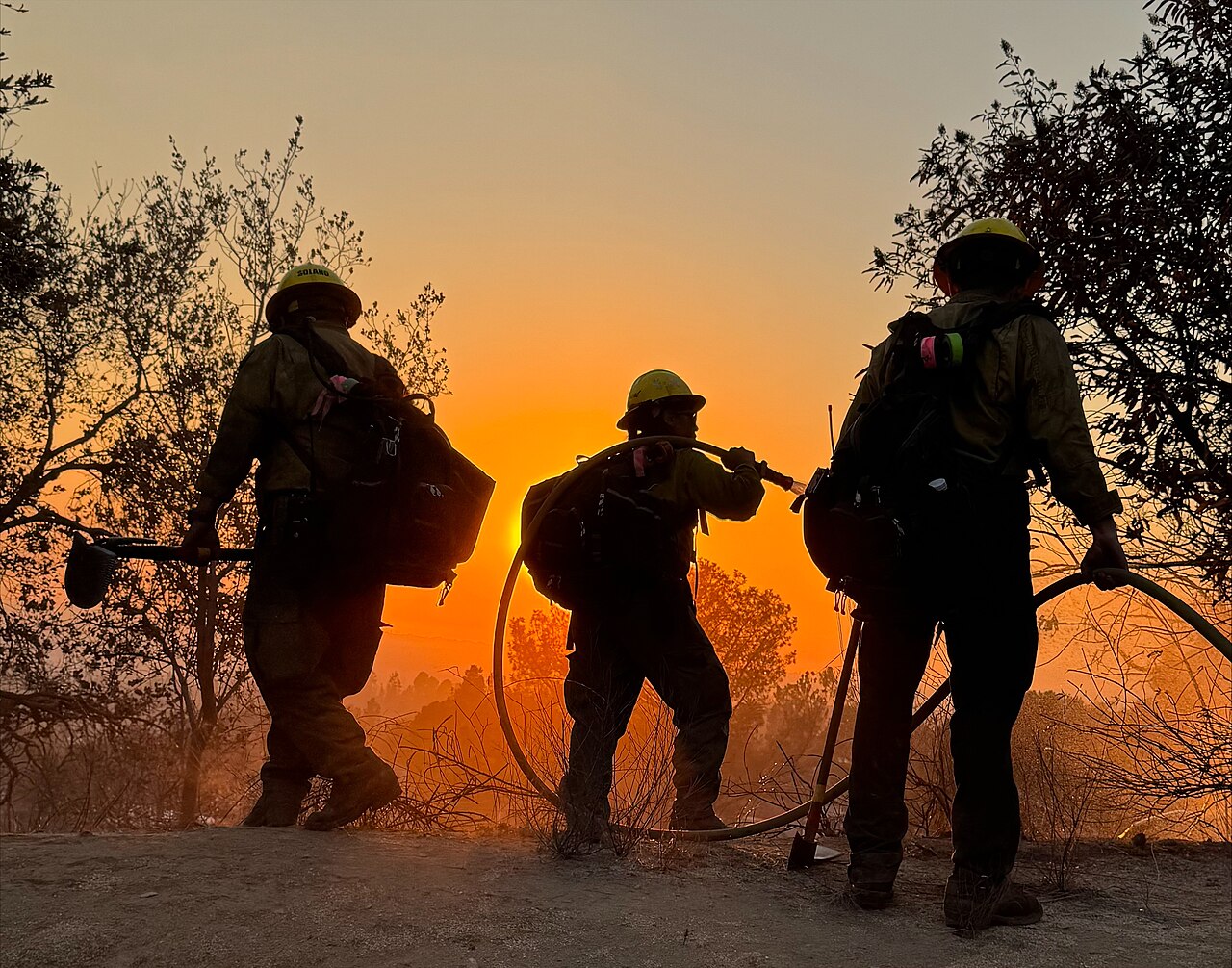 Conference on protection against forest fires